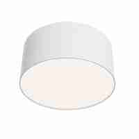 Потолочный светодиодный светильник Maytoni Zon C032CL-L12W4K