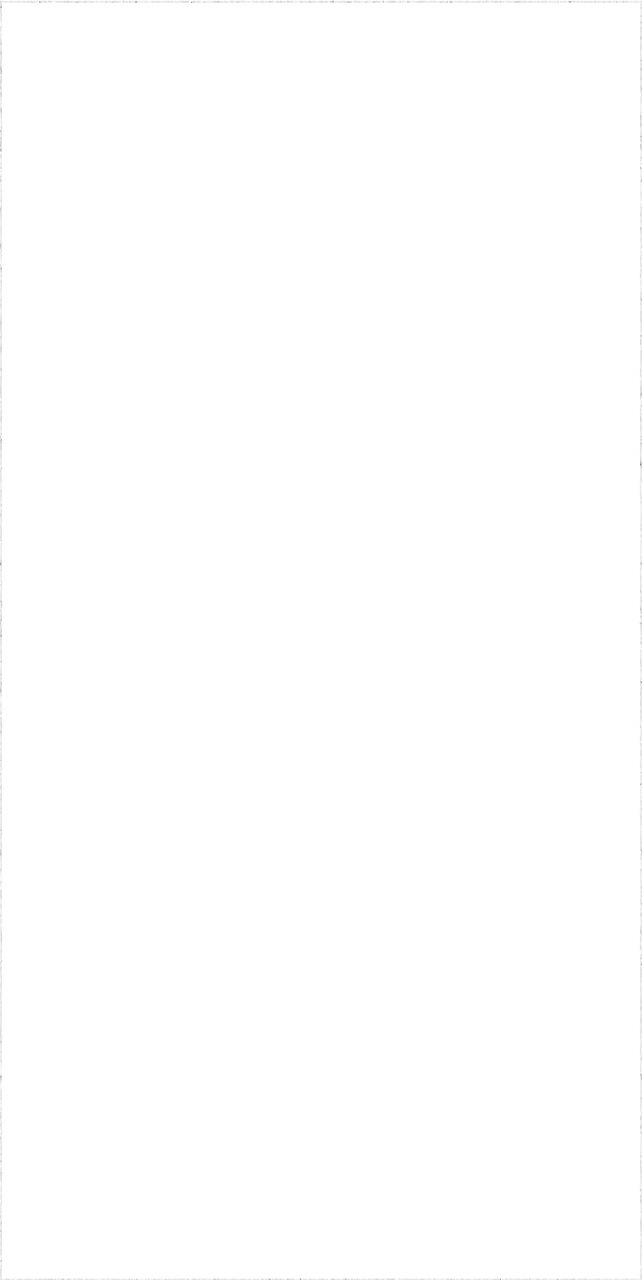 Плитка керамическая Villa Ceramica Bourjeois Bianco rett. настенная 30х60