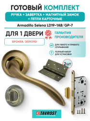 Комплект: Ручки Armadillo Selena LD19-1AB/GP-7+Завертка+Магнитный замок и Петли Fuaro/бронза/золото