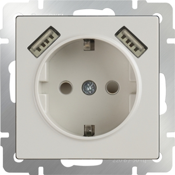 Розетка Werkel Слоновая кость WL03-SKGS-USBx2-IP20