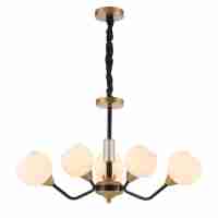 Подвесная люстра Favourite Germen 2550-6P