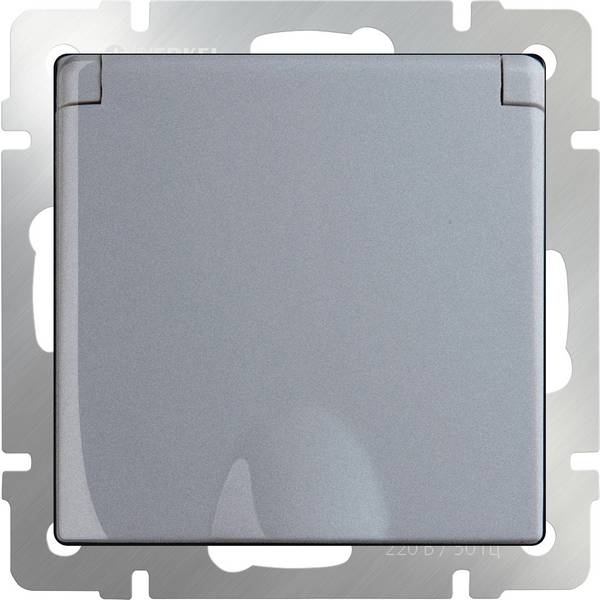 Розетка Werkel Серебряный WL06-SKGSC-01-IP44