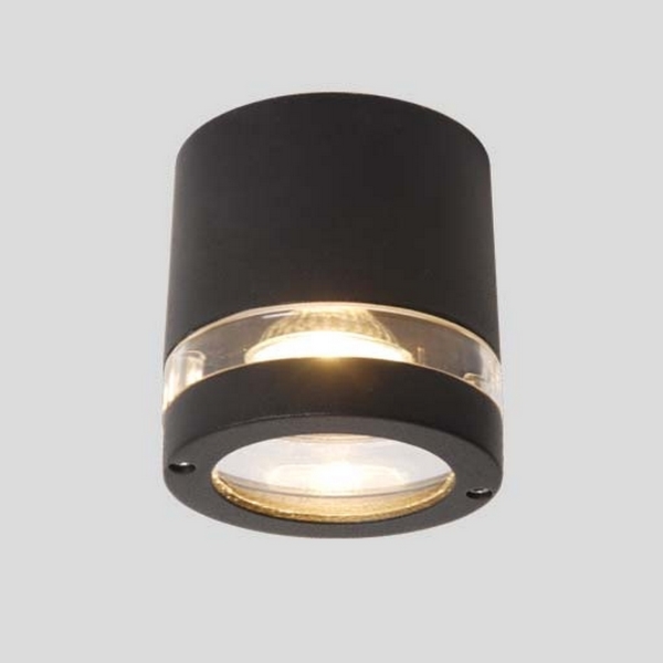 Потолочный светильник уличный Oasis Light 6042 6042 Gr