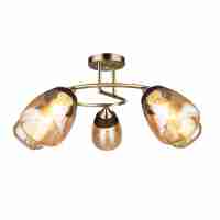 Потолочная люстра Wedo Light Aldino 66425.01.05.05