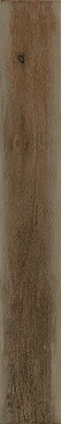 Керамогранит Ragno Woodcraft Beige 10х70