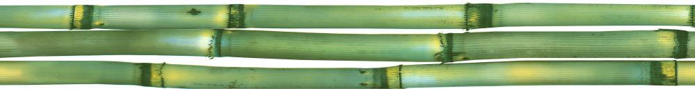 Плитка керамическая Cerrol Formula Canas De Bambu Listwa B бордюр 6,5х50