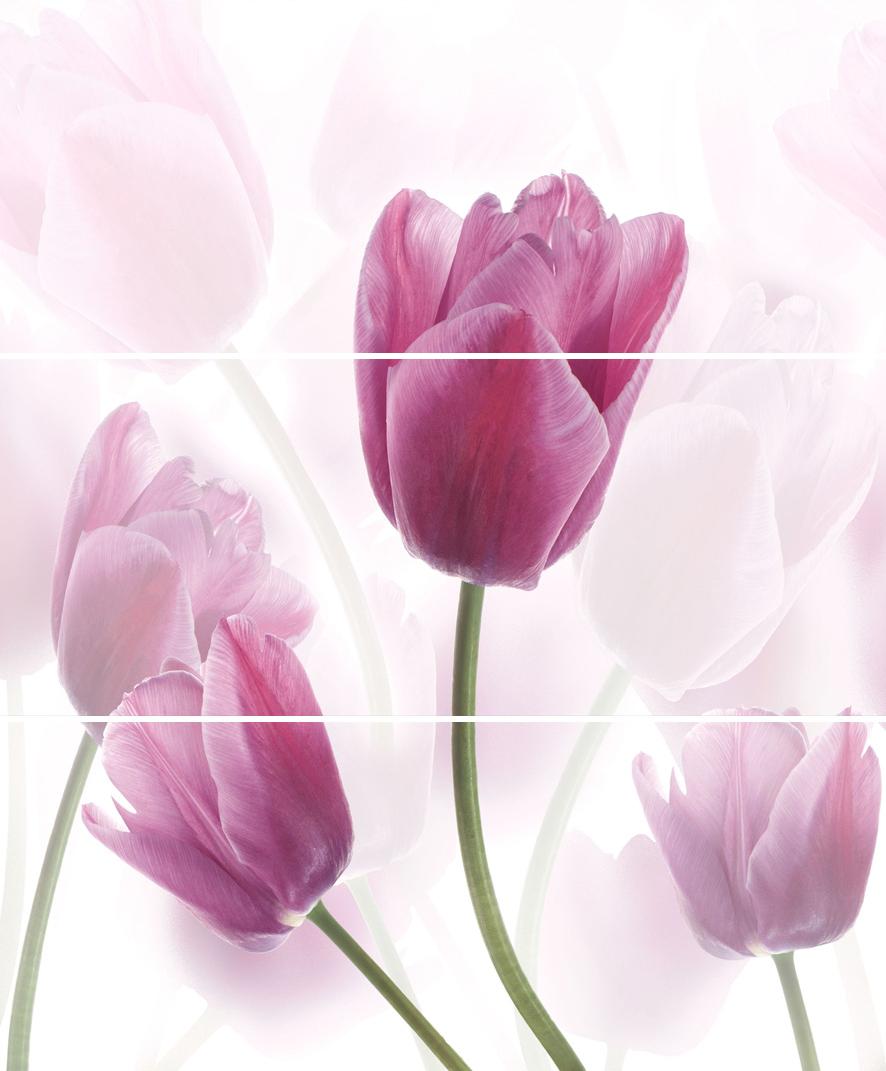 Плитка керамическая Cerrol Imperia Tulipany/Tulipa (из 3шт) панно 50х60