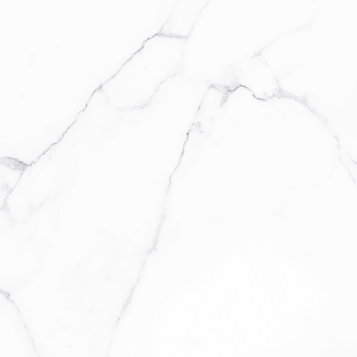 Плитка напольная ALMA Ceramica Vivienne Carrara GFU04CRR00R 60х60