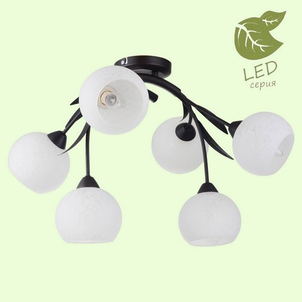 Люстра потолочная Loft Bagheria GRLSF-6283-06