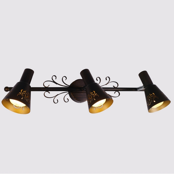 Спот Citilux Дункан CL529531