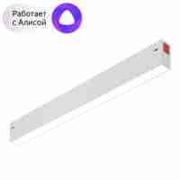 Трековый светодиодный светильник Denkirs DK8004-WH