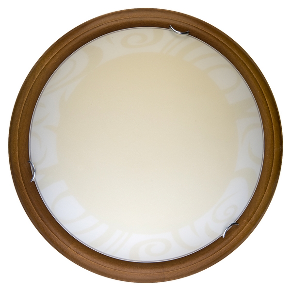 Настенно-потолочный светильник TopLight Ginger TL9620Y-00OA