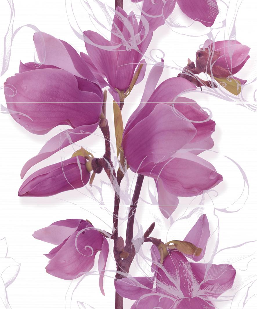 Плитка керамическая Cerrol Imperia Magnolia (из 3шт) панно 50х60