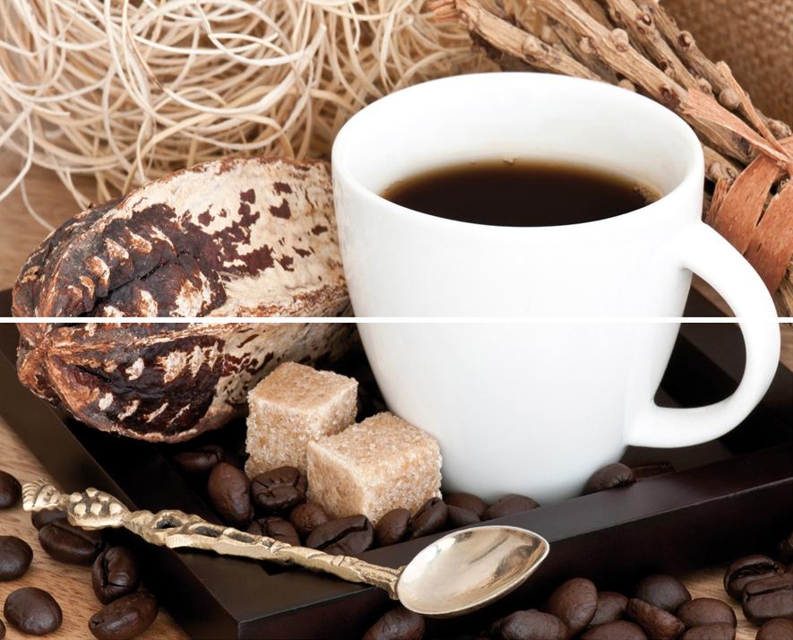 Плитка керамическая Cerrol Imperia Coffe (из 2шт) панно 40х50