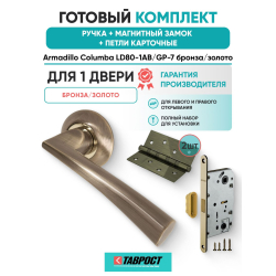 Ручка дверная межкомнатная Armadillo R.LD54.Columba AB/GP-7 бронза/золото с Магнитным замком Fuaro и Петлями Fuaro