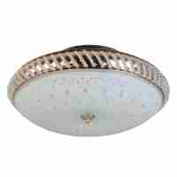 Накладной светильник Toplight Loreen TL1491Y-04GC