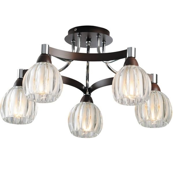 Потолочная люстра N-Light 418 418-05-13W