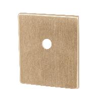 Накладка на шток цилиндра ESC.O.USS/K (BK Protector/USS) FSG флорентийское золото