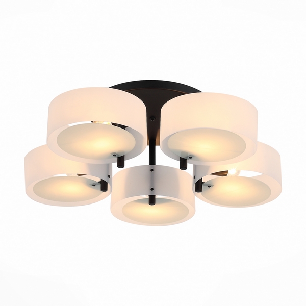 Люстра потолочная ST Luce Foresta SL483.402.05