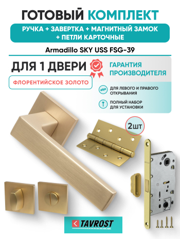 Комплект: Ручки Armadillo SKY USS FSG-39+Завертка+Магнитный замок и Петли Fuaro/флорентийское золото