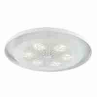 Потолочный светодиодный светильник Favourite Incarnatio 2601-5C