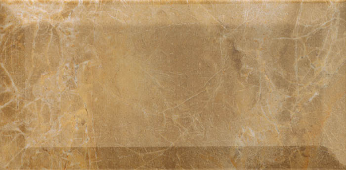 Плитка керамическая Mainzu Arkadia Moka настенная 10х20