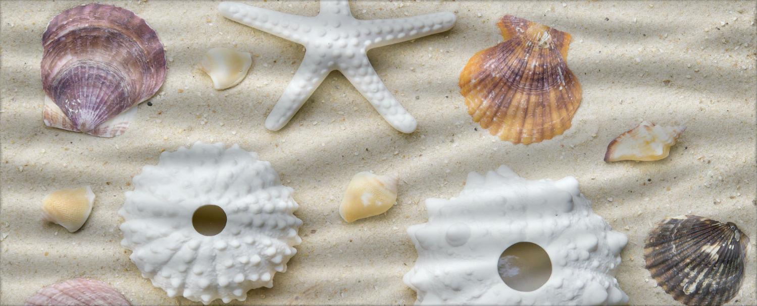 Плитка керамическая Cerrol Durango Playa B Centro Wave декор 20х50