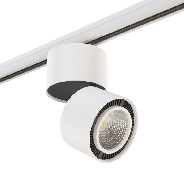 Трековый светильник Lightstar Forte Muro A3T213850