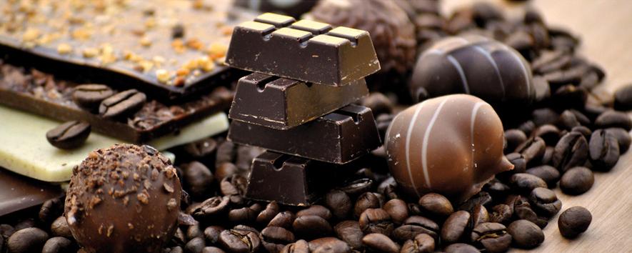 Плитка керамическая Cerrol Imperia Centro Coffe-1 декор 20х50