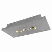 Потолочный светодиодный светильник Loft IT Architect OL1072-GH/3