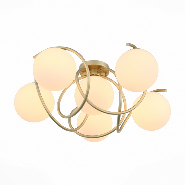Люстра потолочная ST Luce Delicata SL711.202.06