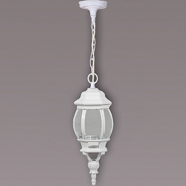 Уличный подвесной светильник Oasis Light 83405S 83405S W