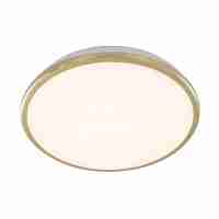 Потолочный светодиодный светильник Citilux Луна CL702222W