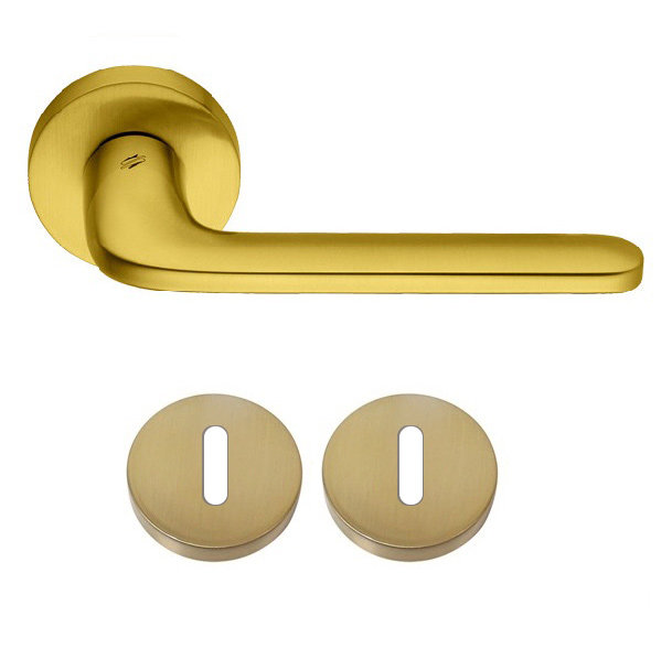 Ручка дверная на круглом основании Colombo Roboquattro ID 41 R/P OM матовое золото R прор.