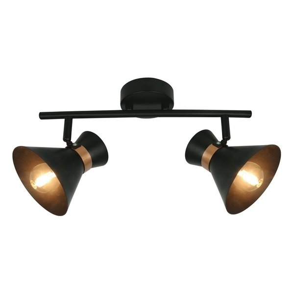 Спот Artelamp Baltimore A1406AP-2BK