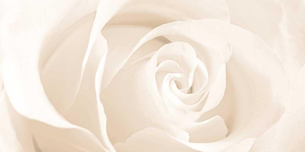 Плитка керамическая Cersanit Effecta flower C-EC2L011D декор 29,7х60