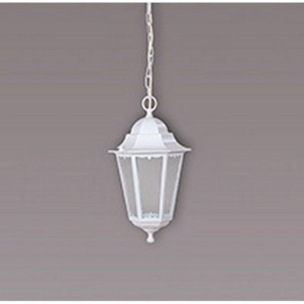 Уличный подвесной светильник Oasis Light 79805M 79805M W