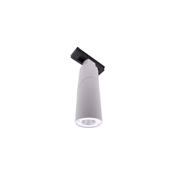 Трековый светильник DesignLed LDT LDT-RWT-10W-WW