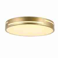Потолочный светодиодный светильник F-Promo Pall 2745-2C
