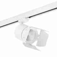 Трековый светодиодный светильник Lightstar Canno Led (301562+202996) C156296