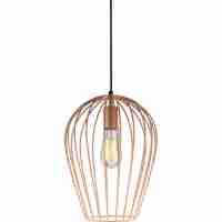 Подвесной светильник Toplight Kayla TL1174H-01PK