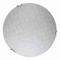 Настенно-потолочный светодиодный светильник Toplight Christina TL9520Y-00WH