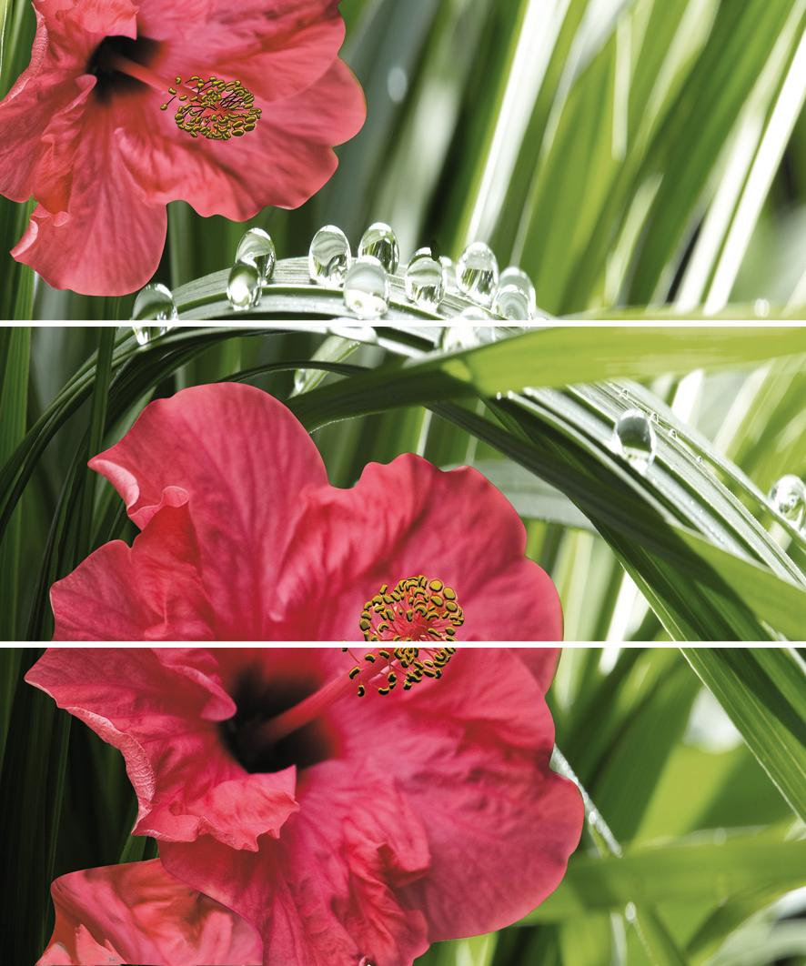 Плитка керамическая Cerrol Imperia Hibiskus (из 3шт) панно 50х60