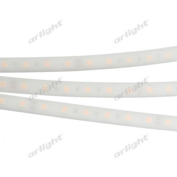 Светодиодная лента Arlight RTW 2-5000PW 016169