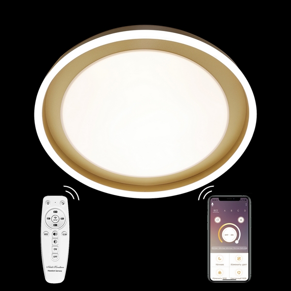 Потолочная люстра Natali Kovaltseva LED LAMPS LED LAMPS 81301