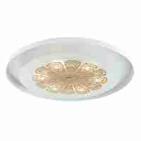 Потолочный светодиодный светильник Favourite Incarnatio 2602-5C