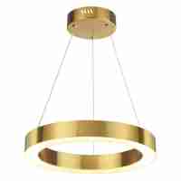 Подвесной светодиодный светильник Odeon Light Brizzi 3885/25LG
