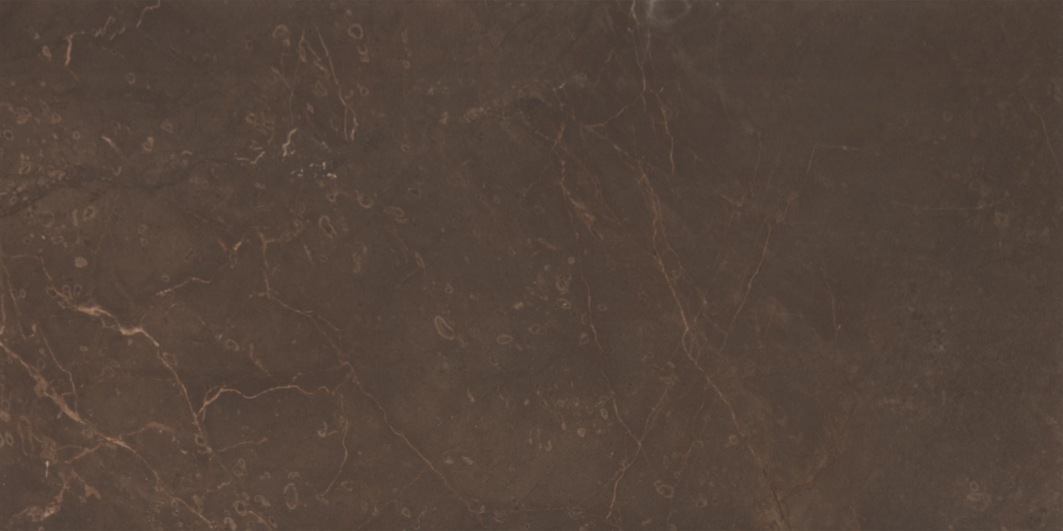 Плитка керамическая Altacera Ryan Marble Marron WT9MRB21 настенная 24,9х50