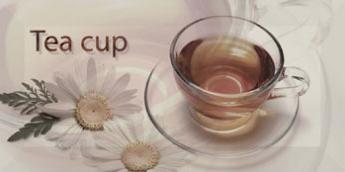 Плитка керамическая Monopole Breakfast Manzanilla декор 10х20