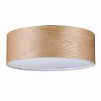 Потолочный светильник Paulmann Alva 79650